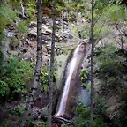 DSCN9594