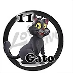 gato