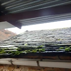 DSCN2247