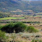 53-IMG_3600