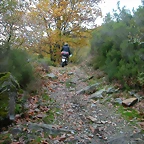 DSCN6150