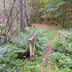 DSCN5732
