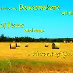 peacemakers-seeds_of_peace