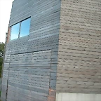 DSCN5345