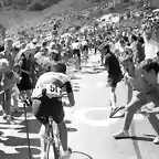 Perico-Tour1987-Alpe D'Huez5