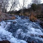 DSCN6696