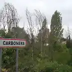 Carbonera