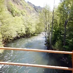 DSCN4586