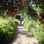 DSCN3746