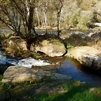 DSCN1070