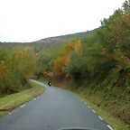 DSCN5961