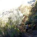 DSCN7945