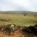 DSCN8143
