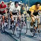 Tour-Oca?a-Merckx-Zoetemelk-Gimondi-Poulidor