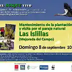 Islillas