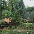 Zoos Wuppertal, Dortmund y Gelsenkirchen 01-10-09 567