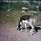 PIC04822