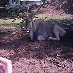 PIC04826