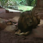 Zoos Wuppertal, Dortmund y Gelsenkirchen 01-10-09 554