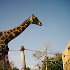 PIC04836