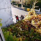 DSCN0802