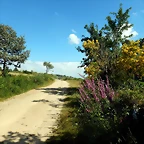 DSCN9172