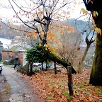 DSCN0389