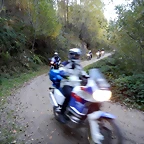 DSCN8771