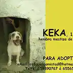 KEKA Barcelona