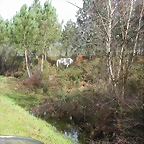DSCN7690