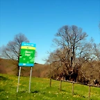 DSCN5407