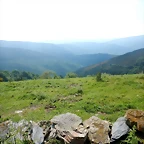 DSCN6215