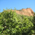 IMG_0178