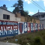 EL ALBO ES MI VIDA