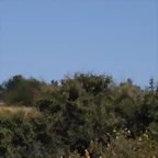 P2070641
