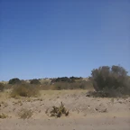 P2070639