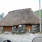 DSCN7084