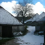 DSCN4831