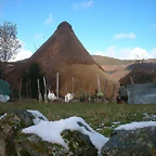DSCN4829
