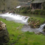 DSCN2881