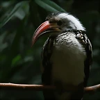 Zoo de Barcelona 02-06-11 305