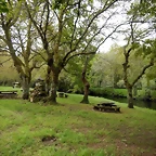 DSCN9190