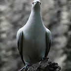 Zoo de Barcelona 02-06-11 279