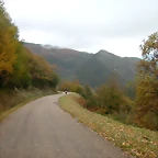 DSCN5988
