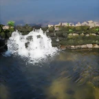 Imagen 020