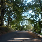 DSCN9943