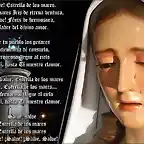 soledad de mena salve