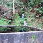 DSCN6326
