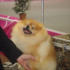 11 034