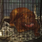 11 033